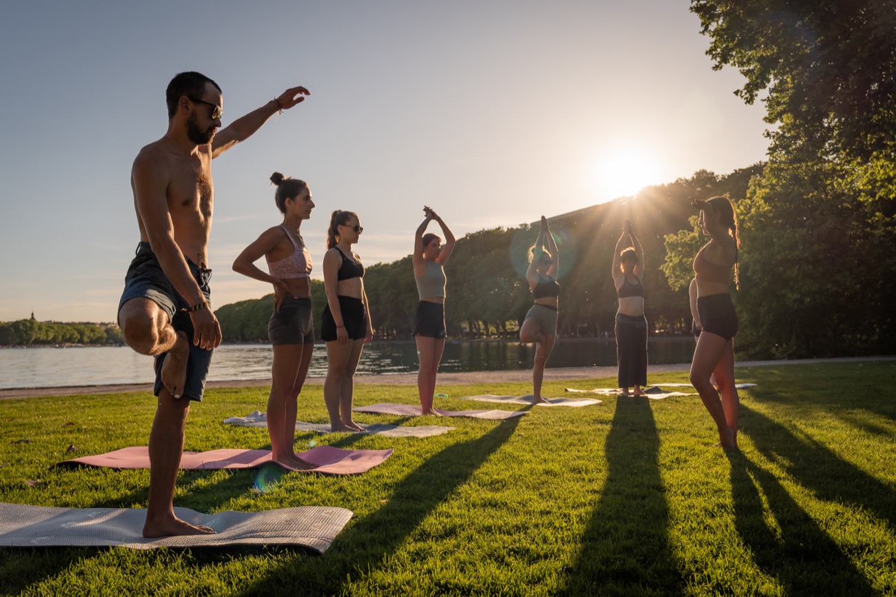 Posture de l'arbre en groupe au soleil couchant