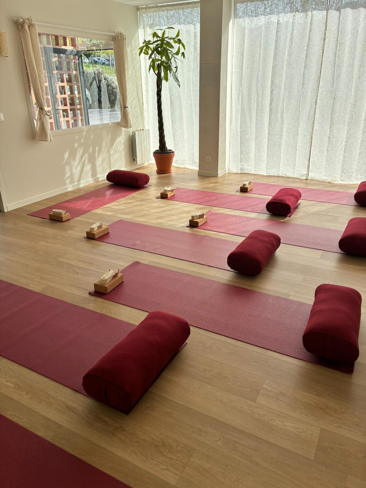 La salle du studio La Bulle – centre des pratiques à Argonay, tapis et bolsters bordeaux